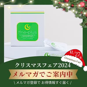 ファインプラス_クリスマスフェア2024