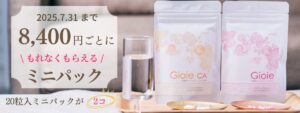ミニパック祭続行開催