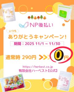 NP手数料無料202511