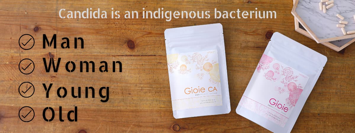 乳酸菌サプリメント発売から21年の実績