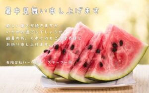 暑中お見舞い